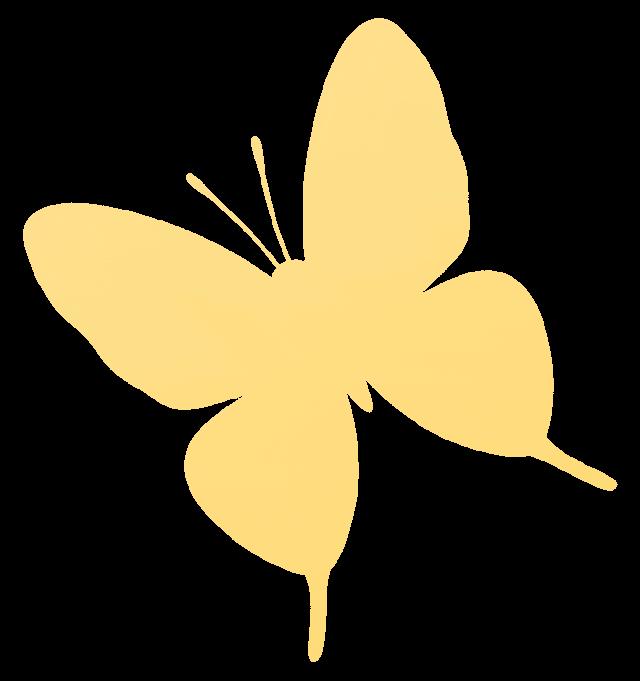 DƬ